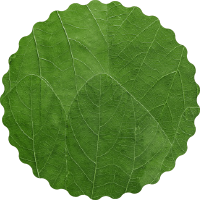 Natura_03 Green Circle - San Lazzaro City Green